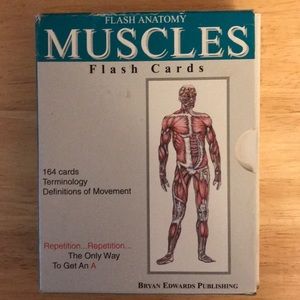 Anatomy Muscle Flash Cards